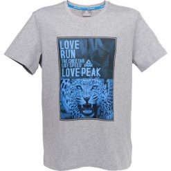 T-shirty męskie: PEAK T-SHIRT MĘSKI szary r. S F652035