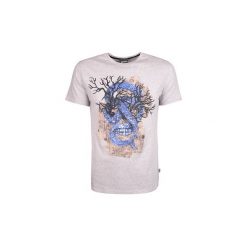 T-shirty z krótkim rękawem Roberto Cavalli S01GC0465. Szare t-shirty męskie Roberto Cavalli, s, bez wzorów, bez kołnierzyka, krótkie. Za 199,00 zł.