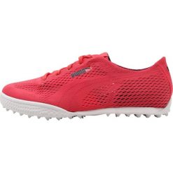 Buty sportowe damskie: Puma Golf MONOLITE CAT Obuwie do golfa paradise pink