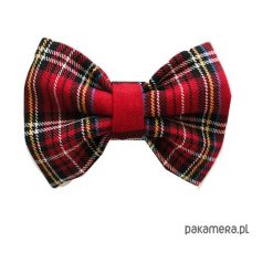 Mucha / Muszka Męska - W Kratę. Brązowe muchy męskie Pakamera, z materiału, eleganckie. Za 65,00 zł.