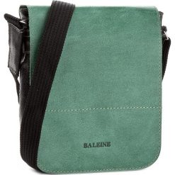 Torebki klasyczne damskie: Saszetka BALEINE – S2 Stal/Zielony
