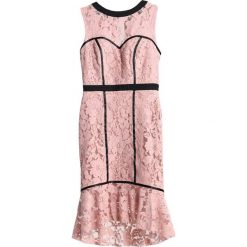 Sukienki: Paper Dolls Sukienka koktajlowa rose/black