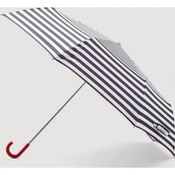 Parasole: Mango – Parasol Mambo