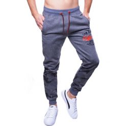 Spodnie męskie dresowe szare jogger Recea. Szare spodnie męskie Recea, s, bez wzorów, z bawełny, sportowe. W wyprzedaży za 29,99 zł.