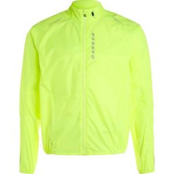 Kurtki sportowe męskie: Dare 2B ENSPHERE II Kurtka sportowa fluro yellow