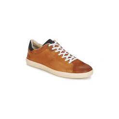 Trampki męskie: Buty Kickers SNIFF