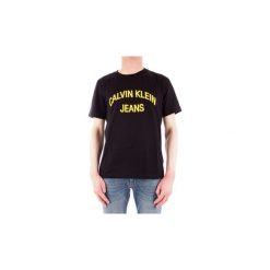 T-shirty z krótkim rękawem Calvin Klein Jeans J30J311471. T-shirty męskie Calvin Klein Jeans. Za 147,29 zł.