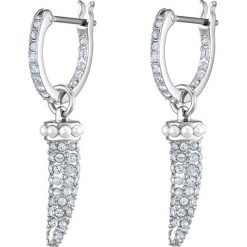 Swarovski - Kolczyki Polar Bestiary. Szare kolczyki damskie Swarovski, z kryształem, metalowe. Za 299,90 zł.