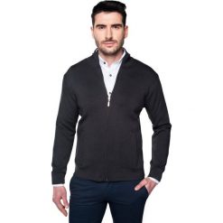 Golfy męskie: sweter merle stójka grafit
