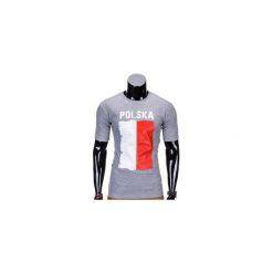 T-shirty męskie: T-SHIRT MĘSKI Z NADRUKIEM S775 – SZARY