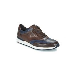 Buty Lloyd ARTURO. Pomarańczowe trampki męskie marki Lloyd, bez wzorów, bez zapięcia. Za 659,00 zł.
