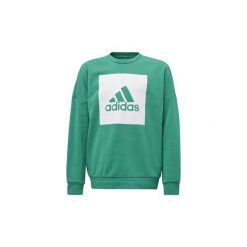 Swetry Dziecko adidas Bluza Essentials Big Logo Sweatshirt. Zielone bluzy dziewczęce Adidas. Za 149,00 zł.