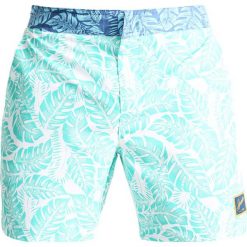 Kąpielówki męskie: Speedo VINTAGE Szorty kąpielowe discovery green/white