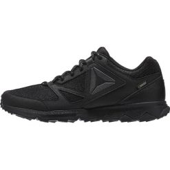 Buty sportowe damskie: Reebok SKYE PEAK GTX 5.0 Obuwie do biegania Szlak black/ash grey/coal