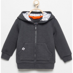 Bluza z kapturem - Szary. Szare bluzy niemowlęce marki Reserved, z kapturem. Za 49,99 zł.