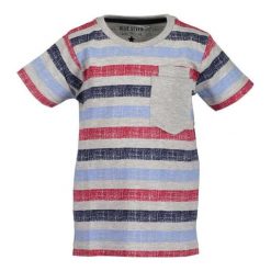 Blue Seven Koszulka Chłopięca 92 Szary. Szare t-shirty chłopięce Blue Seven, bez wzorów, z tkaniny, bez rękawów. W wyprzedaży za 31,00 zł.
