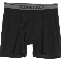 Bokserki męskie: Icebreaker Bokserki Mens Anatomica Boxers Black/Monsoon Xxl