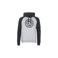 Bluzy DC Shoes CIRCLE STAR PH RAGLAN. Szare bluzy męskie DC Shoes, s, bez wzorów, retro, bez kołnierzyka, bez rękawów, bez kaptura. Za 299,00 zł.