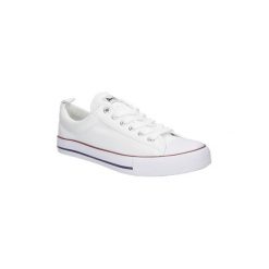 Trampki damskie slip on: Buty American TRAMPKI LH-14-DSLN01