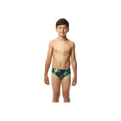 Odzież chłopięca: Spodenki Speedo Alv 6.5 CM BRF JM (8-042859281)
