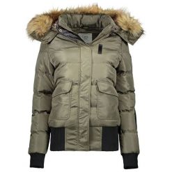 Cars-Jeans Damska Kurtka Eletra Poly Olive 4601618 (Rozmiar L). Zielone kurtki damskie marki Cars Jeans, na zimę, l, z jeansu. W wyprzedaży za 259,00 zł.