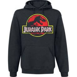 Jurassic Park Distressed Logo Bluza z kapturem czarny. Czarne bluzy męskie marki Jurassic Park, xl, z nadrukiem, z kapturem, bez rękawów, z kapturem. Za 164,90 zł.