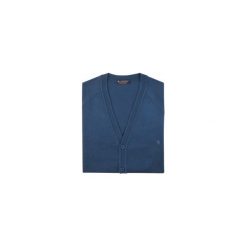 Niebieski sweter/cardigan casual SW26. Niebieskie swetry męskie Lanieri Fashion - swetry męskie, m, bez wzorów, z bawełny, casualowe, krótkie. Za 148,50 zł.