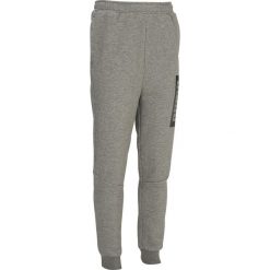 Spodnie Do Gimnastyki. Spodnie męskie Puma, bez wzorów, z bawełny. Za 79,99 zł.