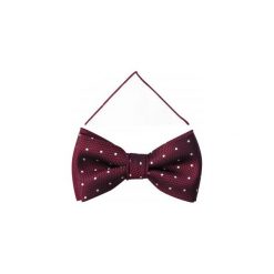 Bordowa mucha w białe kropki A348. Czerwone muszki męskie Adam Collection - Krawaty i dodatki, na co dzień, bez wzorów, z poliesteru, eleganckie. Za 49,50 zł.