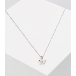 Naszyjniki damskie: Ted Baker BETJE Naszyjnik silvercoloured