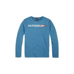 T-shirty z długim rękawem Dziecko Tommy Hilfiger KB0KB04997 FLAGS TEE. Niebieskie t-shirty chłopięce TOMMY HILFIGER, bez wzorów, z długim rękawem. Za 135,22 zł.