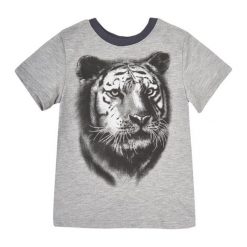 Garnamama Koszulka Chłopięca 104 Szary. Szare t-shirty chłopięce Garnamama, bez wzorów, bez rękawów. Za 33,00 zł.