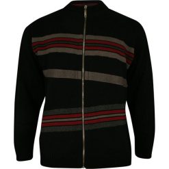 Sweter Czarny, Zapinany na Zamek, w Paski, ze Ściągaczami -KINGS- Męski SWKNGS6750727czarny. Czarne swetry męskie Kings, s, w paski, ze stójką, bez kaptura. Za 219,00 zł.