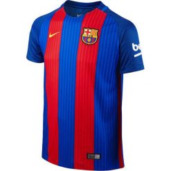 Nike Koszulka męska FCB Junior SS HM Stadium JSY niebieska r. L (777029 481). Niebieskie t-shirty męskie Nike, l, do piłki nożnej. Za 241,94 zł.