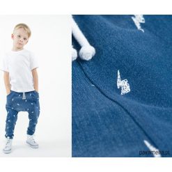 Spodnie chłopięce: Wiosenne spodnie baggy Jeansowe PIORUNY