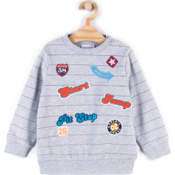 Bluza. Szare bluzy chłopięce rozpinane marki HEY BOY, z aplikacjami, z bawełny, z długim rękawem, długie. Za 49,90 zł.