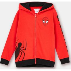 Bluza chłopięca - Khaki. Brązowe bluzy chłopięce Sinsay, bez wzorów, bez rękawów, bez kaptura. Za 19,99 zł.