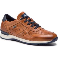 Sneakersy SALAMANDER - Avato 31-56201-07 Cognac. Pomarańczowe sneakersy męskie Salamander, na co dzień, bez wzorów, ze skóry, eleganckie, bez zapięcia. W wyprzedaży za 279,00 zł.