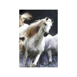T-shirty damskie: T-shirt WHITE HORSES