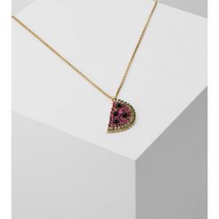 Naszyjniki damskie: Anton Heunis WATERMELON SLICE NECKLACE Naszyjnik pink/green