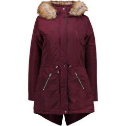 Parki damskie: Dorothy Perkins Tall TRIM Parka Bordeaux