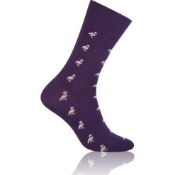 Fioleowe Skarpetki, Flemingi, Ptaki - MORE, Męskie SKMORE40051fioletflamingos. Skarpetki męskie More, bez wzorów, z tkaniny. Za 12,90 zł.