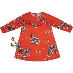 Sukienka w kolorze czerwonym. Czerwone sukienki niemowlęce Benetton Kids, bez wzorów, bez rękawów, midi, rozkloszowane. W wyprzedaży za 75,95 zł.