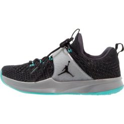 Buty sportowe męskie: Jordan TRAINER 2 FLYKNIT Obuwie treningowe wolf grey/cool grey