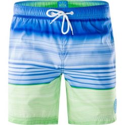 Kąpielówki męskie: AQUAWAVE Szorty męskie Shadow Blue/Green Stripes r. M