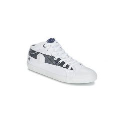 Trampki męskie: Buty Pepe jeans IN 45
