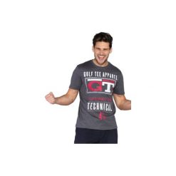 T-shirt krótki rękaw męski z printem. Szare t-shirty męskie marki TXM, z dresówki. Za 14,99 zł.