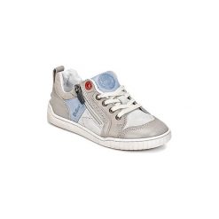 Buty Dziecko Kickers WINCHESTER. Szare trampki chłopięce marki Kickers. Za 295,20 zł.