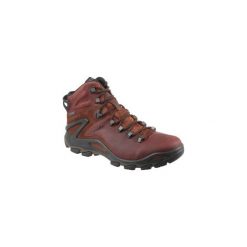 Buty trekkingowe Ecco Terra Evo 82650452358. Brązowe buty trekkingowe męskie ecco, wspinaczkowe. Za 599,99 zł.