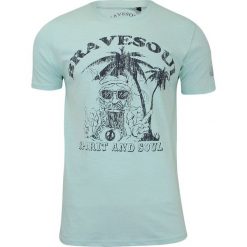 Męska, Zielona Koszulka (T-shirt) - Brave Soul - Hipis pod Palmą TSBRSSS18HIPPIEgreen. Żółte koszulki męskie Brave Soul, m, z nadrukiem, z tkaniny, casualowe, bez kołnierzyka. Za 39,00 zł.